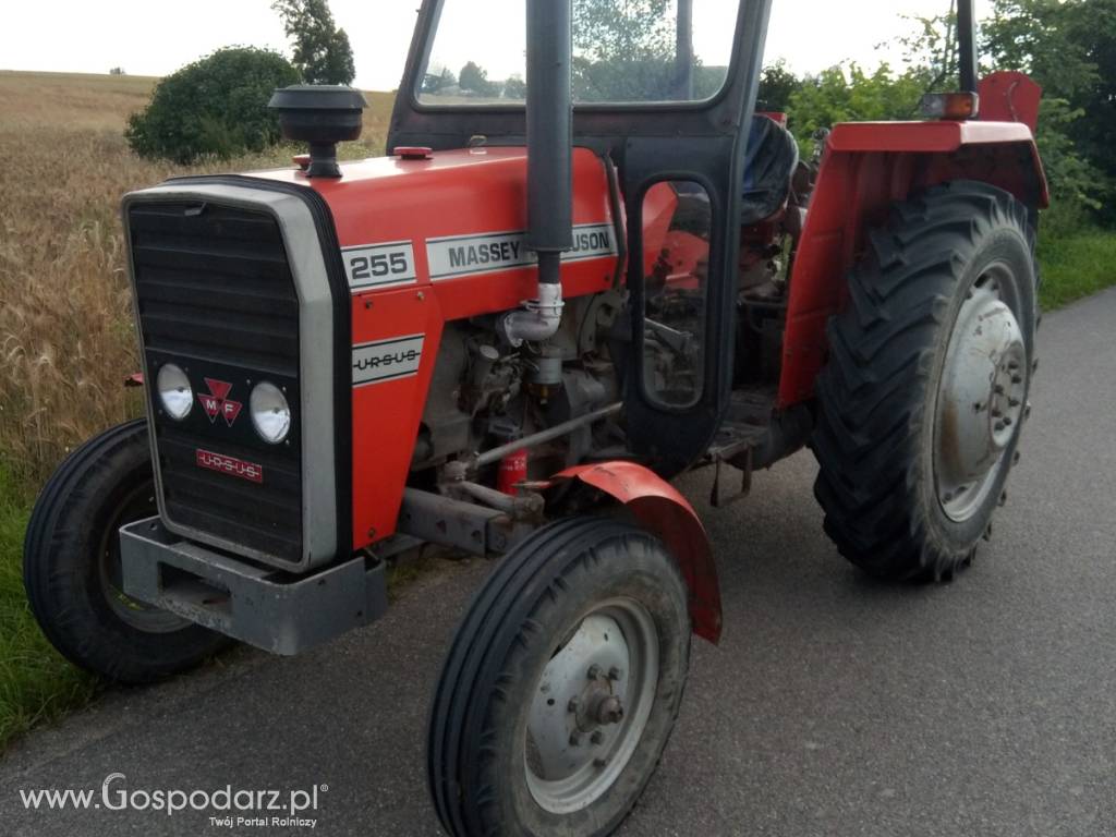 MASSEY FERGUSON 255