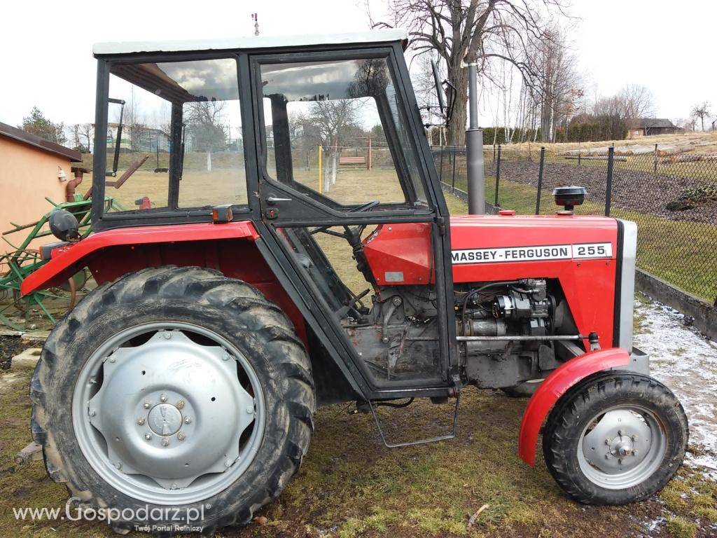 Massey Ferguson 255 3