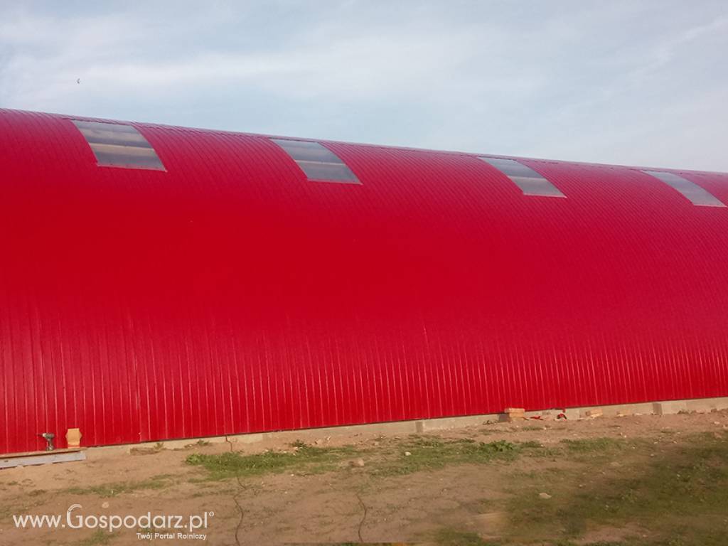 HALA łukowa tunelowa magazynowa hangar 11,8 x 25