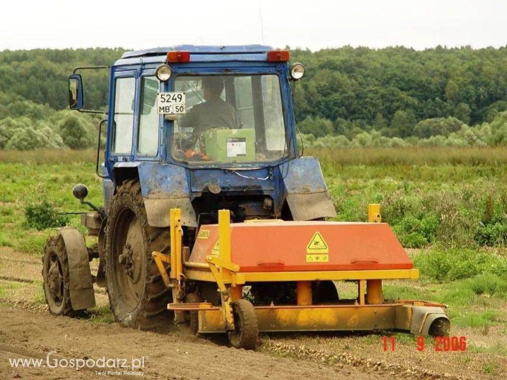 Siekacz do cebuli SU15A SAMON