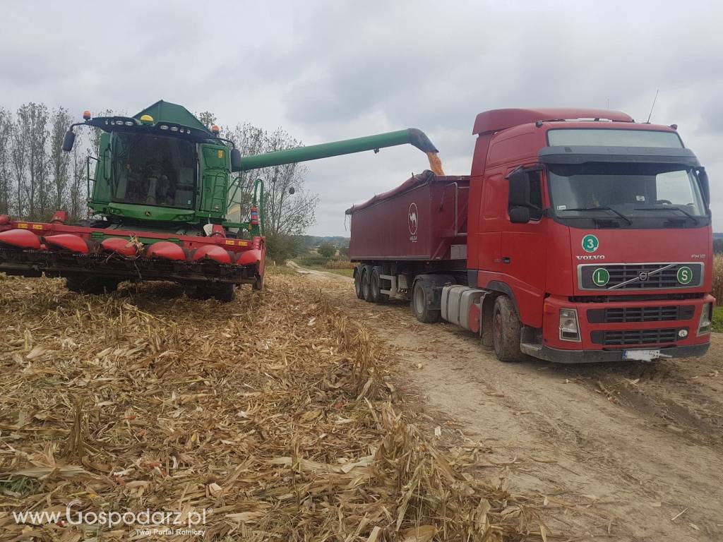 Usługi rolnicze - zbiór, siew, orka, transport, uprawa 5