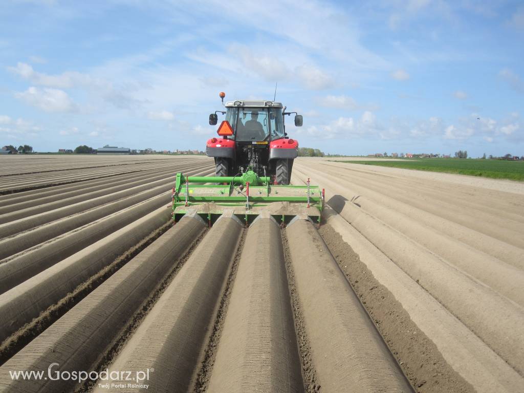 Baselier Rotacyjny kultywator formujący 4FK310