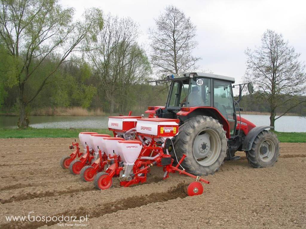 Siewnik SP Maschio Gaspardo