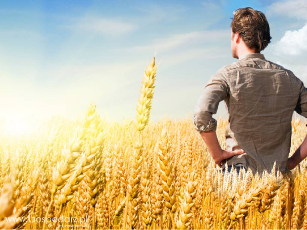 preferencyjny kredyt dla rolników / konsolidacje / oddłużenia