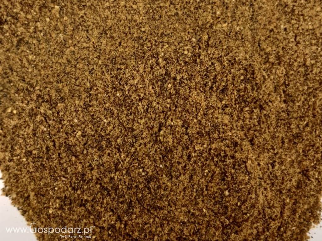 KOREKTOR białkowo energetyczny 3