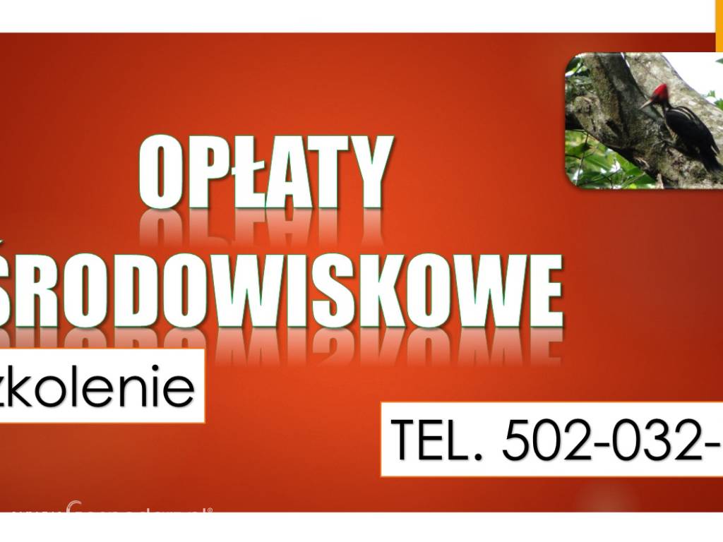 Opłaty za korzystanie ze środowiska 6