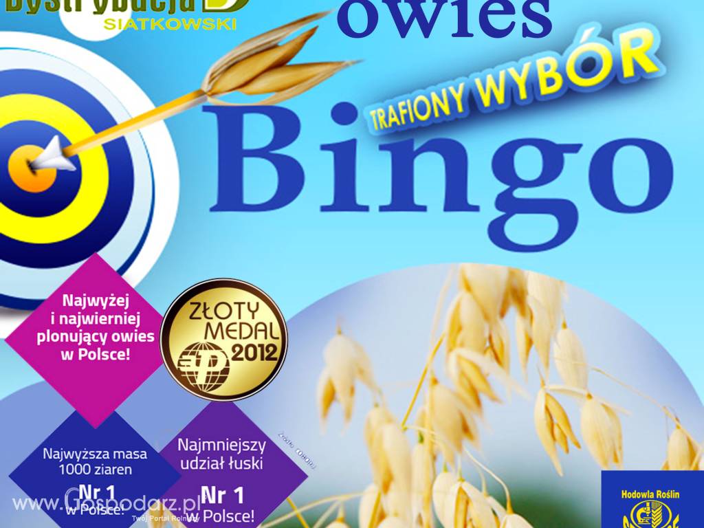 Kwalifikowane nasiona siewne owies BIngo C/1