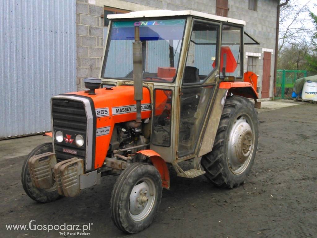 Massey Ferguson MF 255, nie 3512 1 właściciel oryginał
