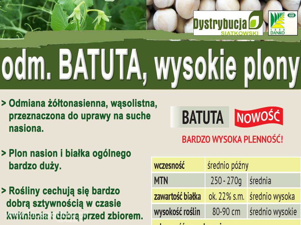 Kwalifikowane nasiona siewne Grochu Siewnego Batuta C/1 3