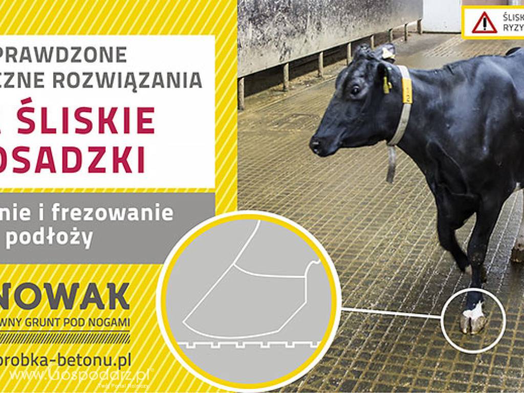 Sprawdzonie rozwiązanie na śliskie posadzki !!!