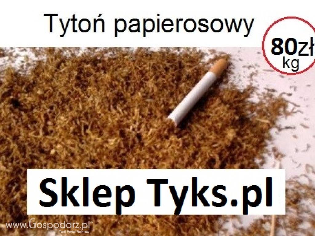 Tyton papierosowy bez dodatków - 100% naturalny. Tani tytoń - Inne
