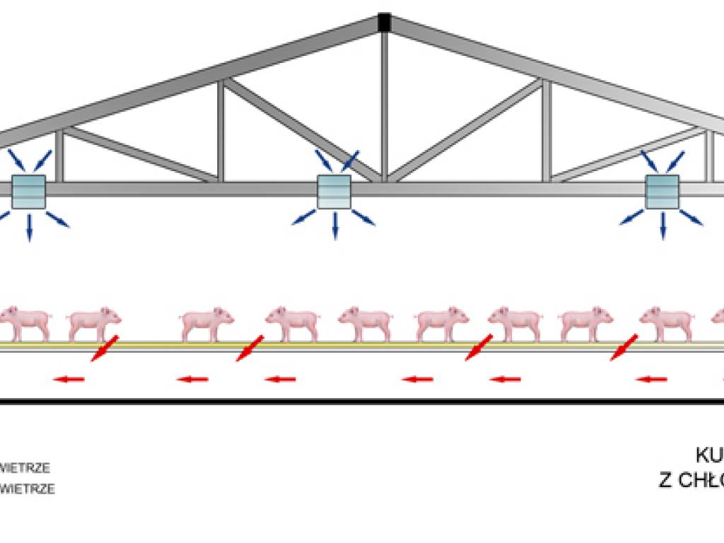 Wentylacja budynku inwentarskiego w okresie zimowym