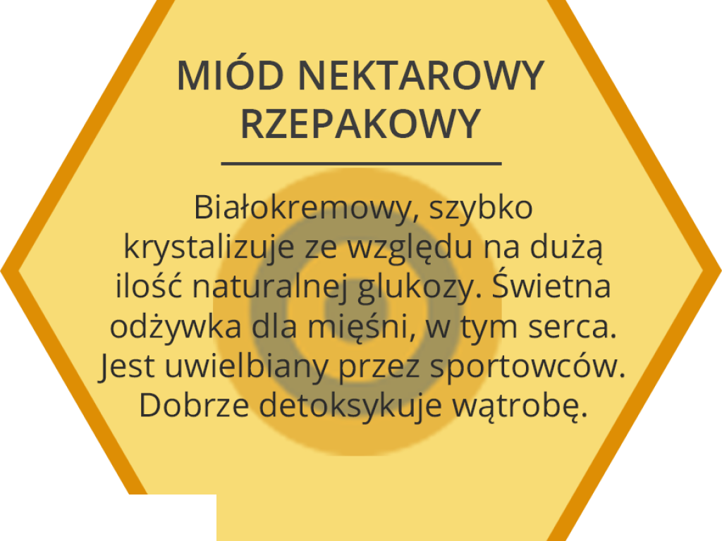 Miody i pyłek prosto od pszczół 6