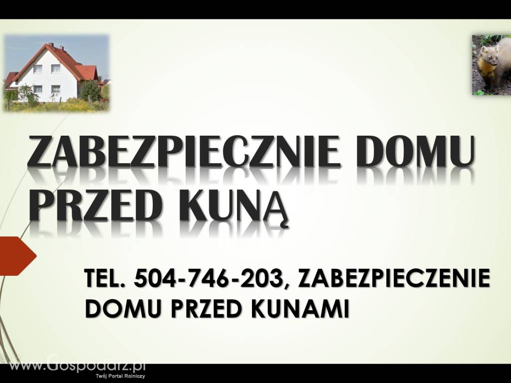 Zabezpieczenie domu przed kuną, Elektryczny pastuch. 8