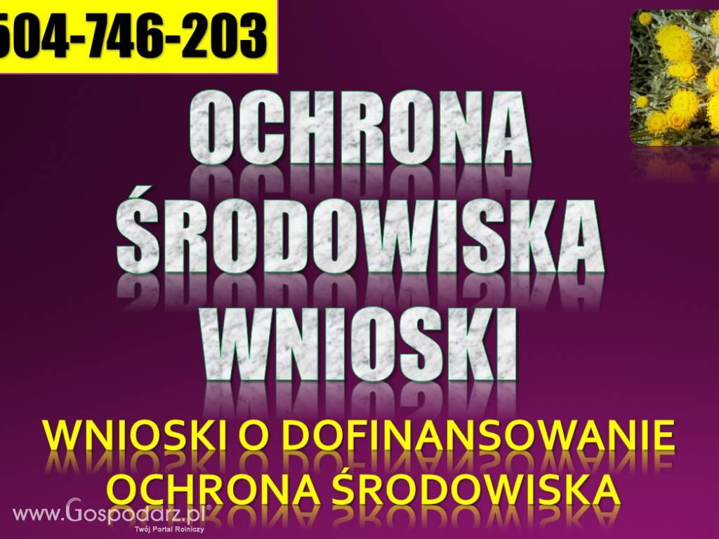 Ochrona środowiska, wypełnienie wniosku