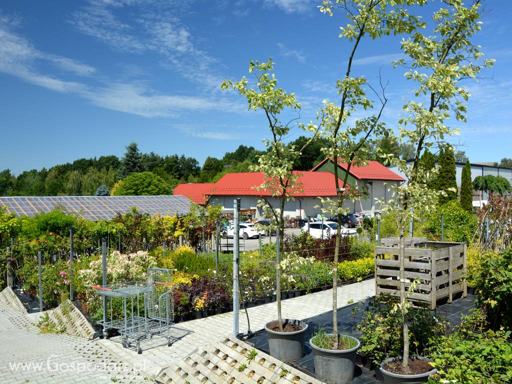 Centrum ogrodnicze