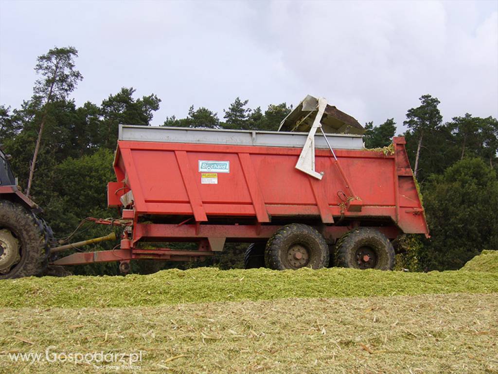 Rozrzutnik do obornika i wapna EV 2000 130-50 BG 10 TON