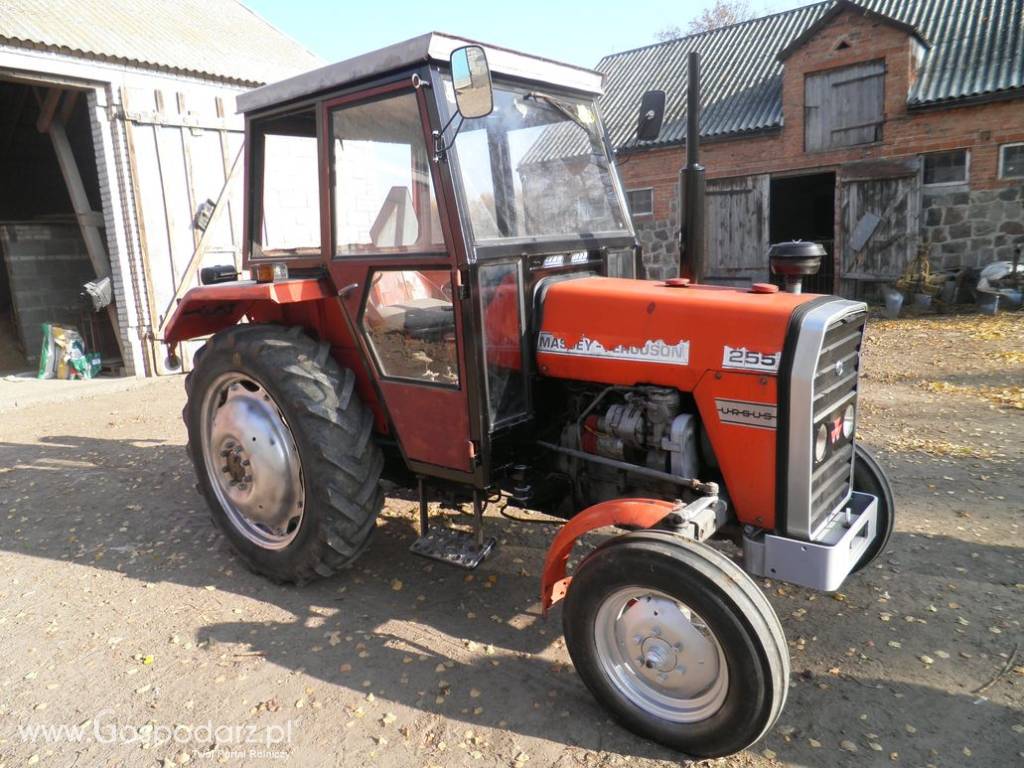 Ciągnik MF 255 Massey Ferguson 6
