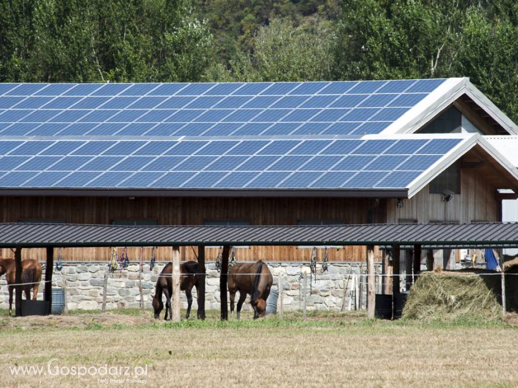 Niezależność energetyczna w zasięgu ręki - fotowoltaika i pompy ciepłą 6