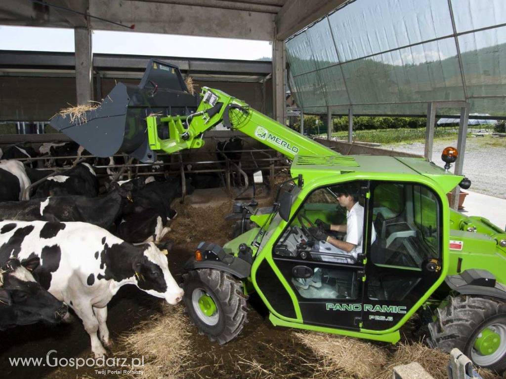 MERLO – ładowarki teleskopowe: Modele P25.6 i P25.6L 4