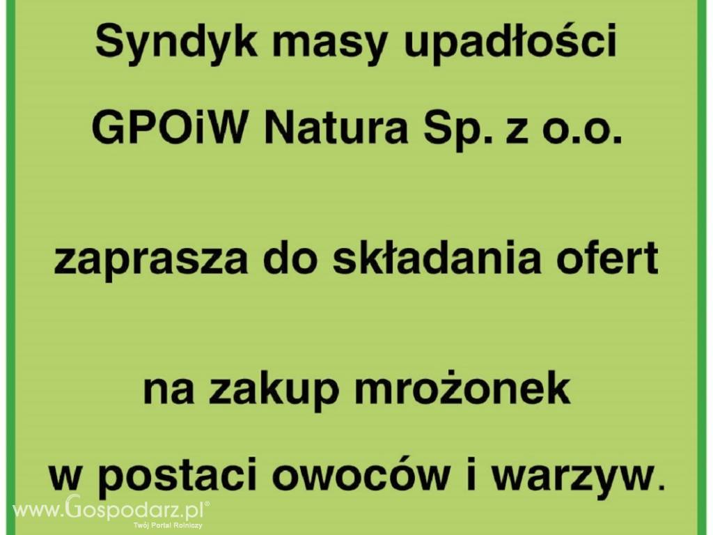 Syndyk sprzeda mrożonki w postaci warzyw i owoców