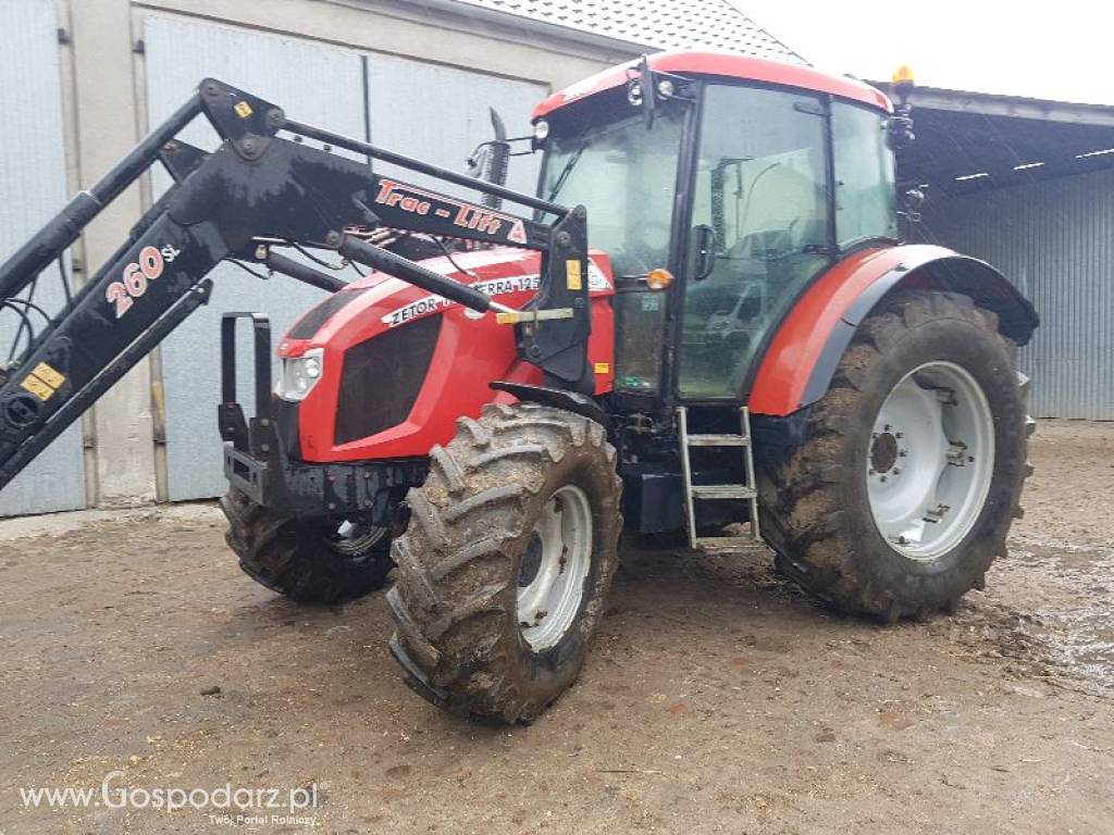 ZETOR FORTERRA 125