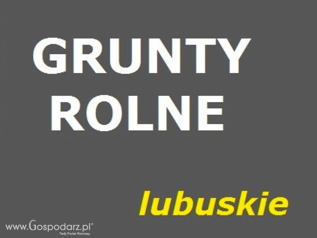 5,6 ha łąk lubuskie sprzedam DOPŁATY