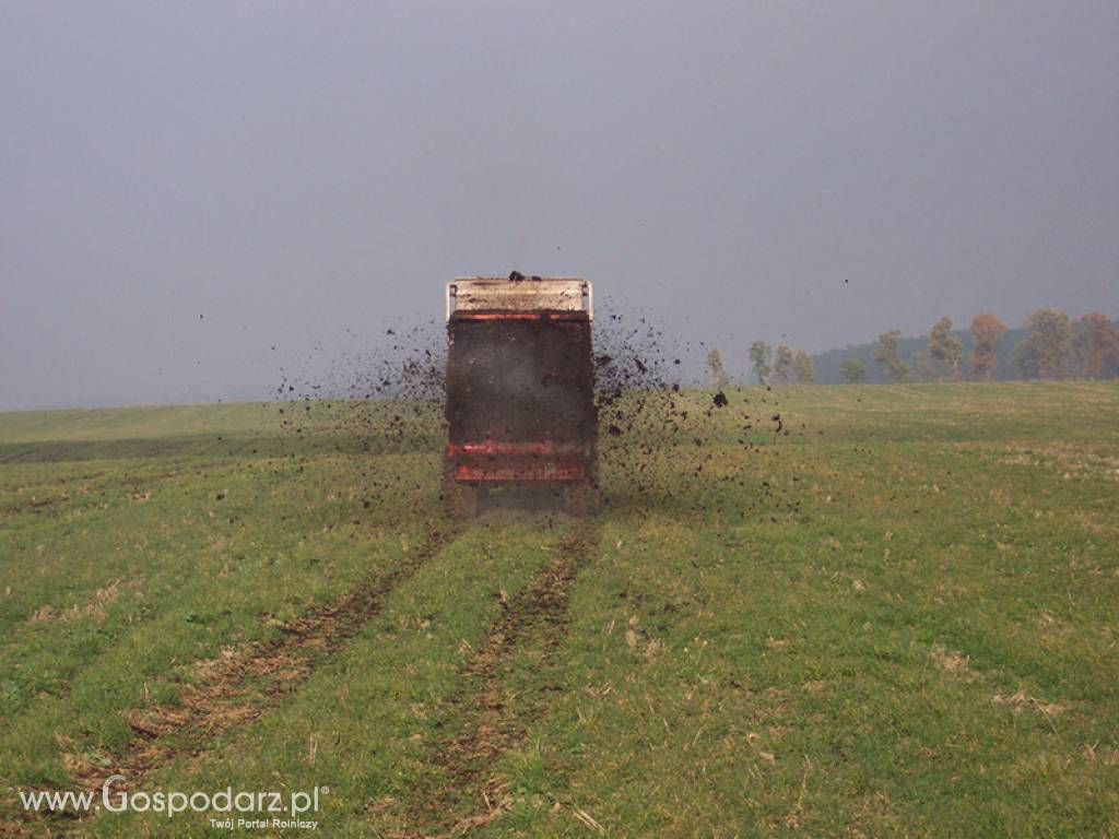 Rozrzutnik do obornika i wapna EV 2000 190-60 BG 14 TON 4