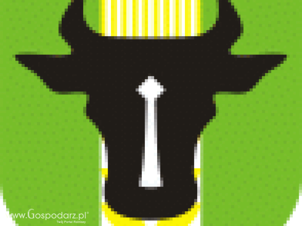 Sprzedam ziemie w SULINOWIE 118 ha pow. żniński , woj. kujawsko -pomorskie