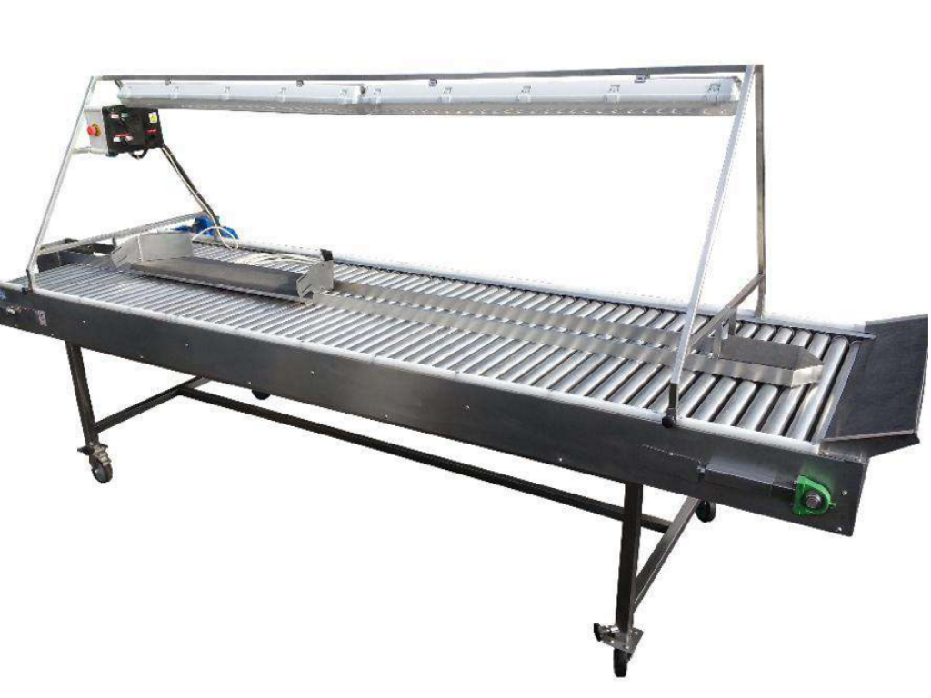 AGRO-WELD, Stół selekcyjny rolkowy kwasoodporny, stół przebierczy 4