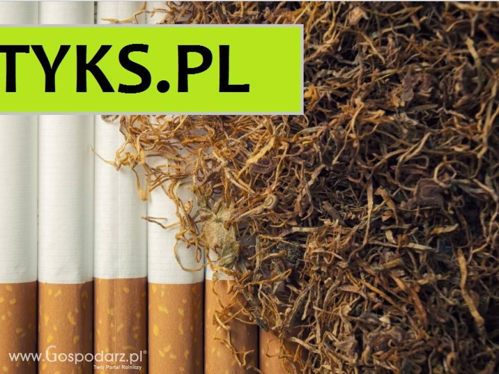 Pewny tytoń 1kg z bardzo dobrej produkcji jak sklepowy