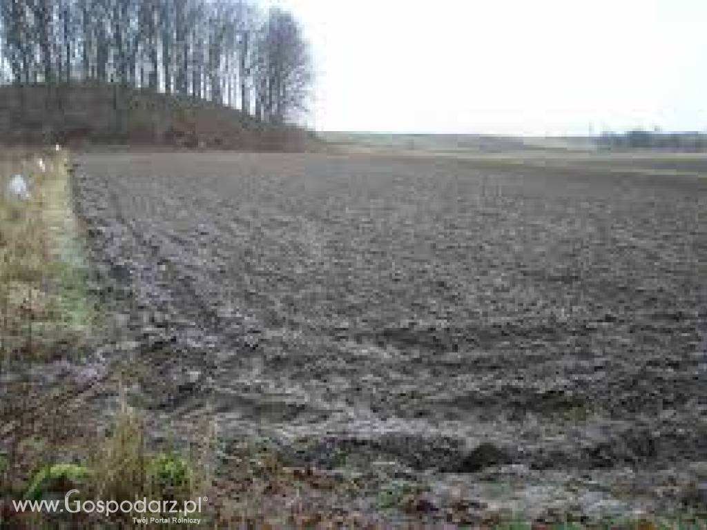 wezmę w dzierżawę grunty rolne kłodzko