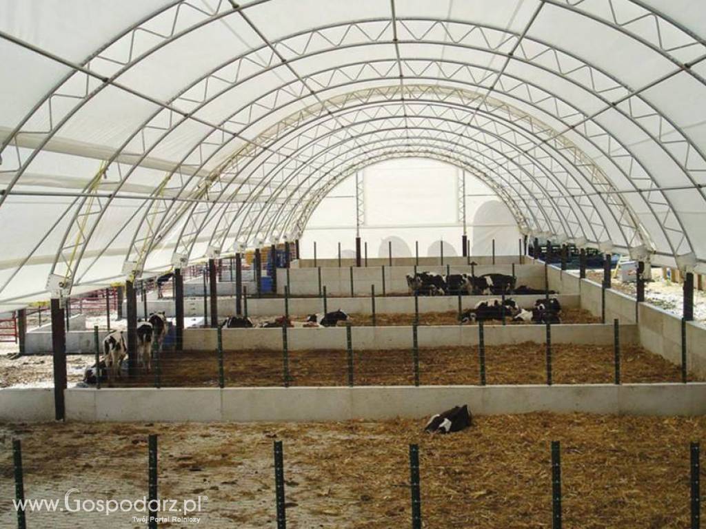 Hala strukturalna typ Łukowa