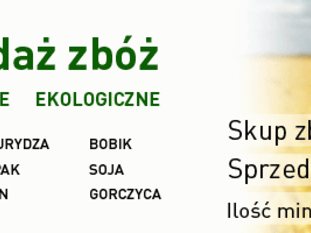 skup zboża, kukurydzy, rzepaku, łubinu