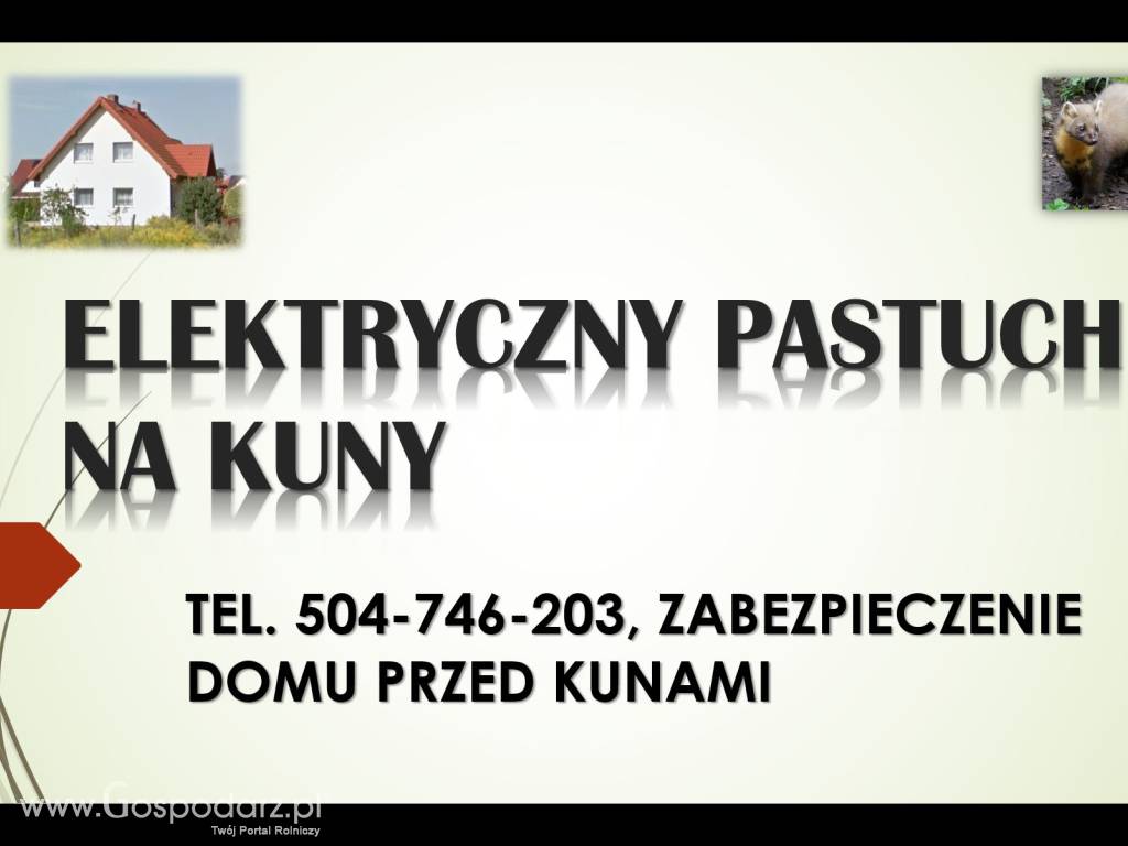 Zabezpieczenie domu przed kuną, Elektryczny pastuch. 7