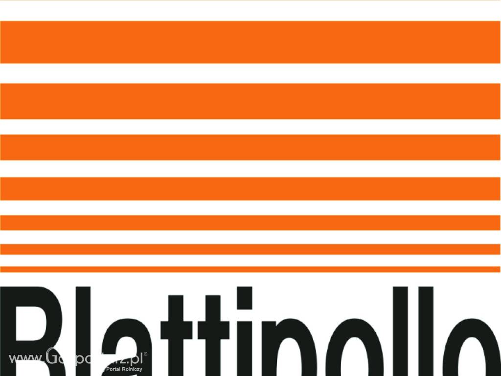 Blattipollo Kurczak 1  Program  żywienia piskląt - odchów przydomowy