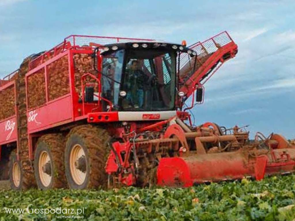 Agrifac Big Six sześciorzędowy kombajn do zbioru buraków cukrowych