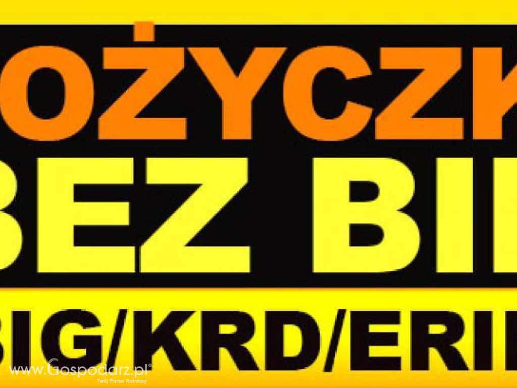 Dla KAŻDEGO ! Bez BiK, BIG, KRD, ERIF, Info Monitor , z KOMORNIKIEM