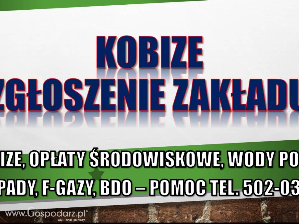 Raportowanie do Kobize