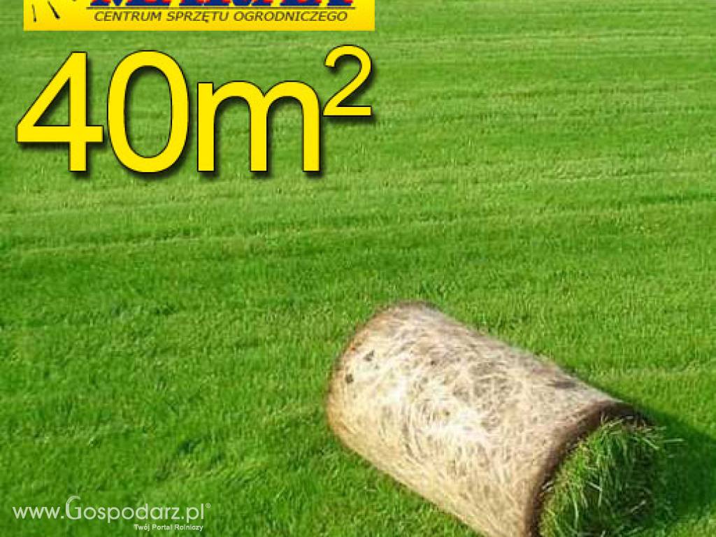 Trawa z rolki PREMIUM 40m2najlepsza trawa w rolce, darń w rolce, 1 paleta, DARMOWA WYSYŁKA