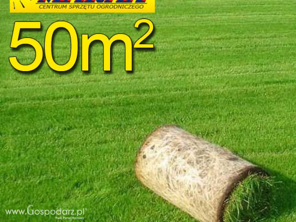 Trawa z rolki PREMIUM 50m2najlepsza trawa w rolce, darń w rolce, 1 paleta, DARMOWA WYSYŁKA