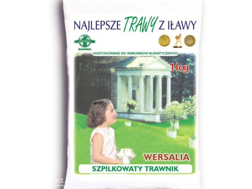 Trawa, nasiona trawy WERSALIA masa: 5kg, mieszanka gazonowa na gleby lekki Rolimpex