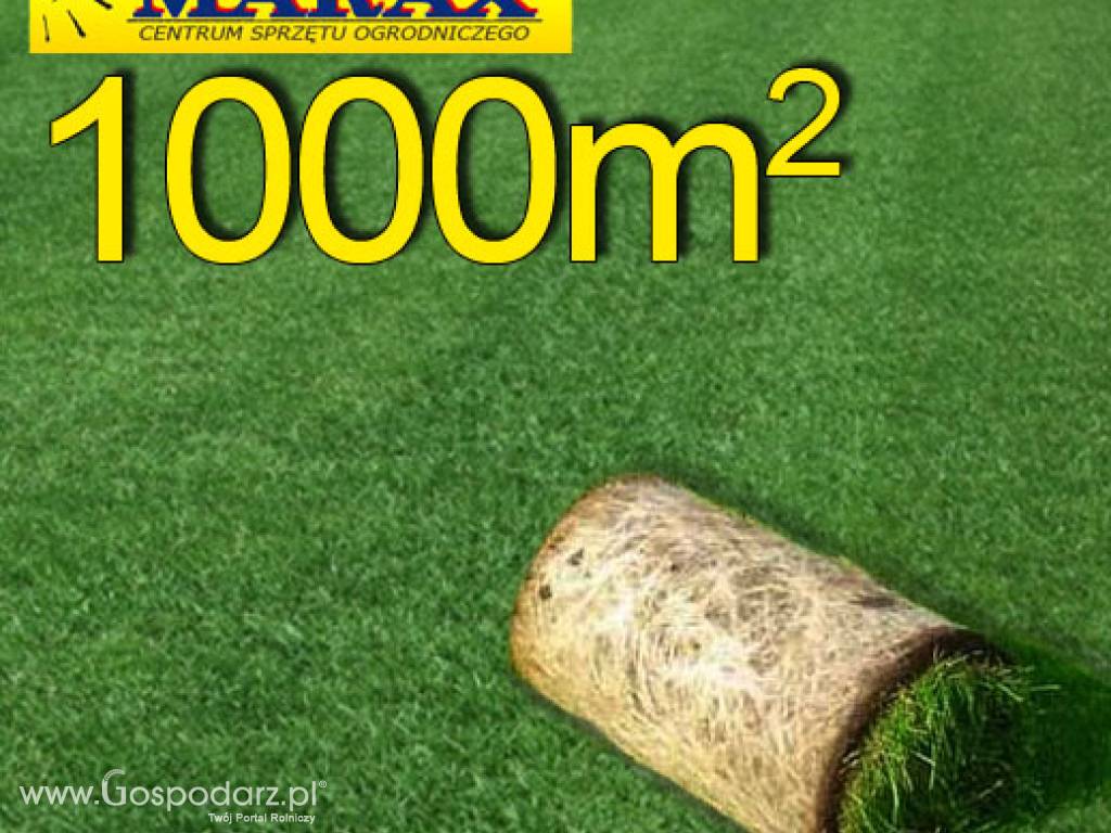 Trawa z rolki, trawa rolowana Premium II 1000 m2najlepsza trawa w rolce, darń w rolce