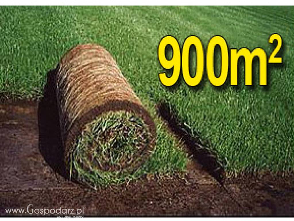 Trawa z rolki, trawa rolowana KRAJOBRAZOWA 900m2uniwersalna trawa w rolce, darń w rolce