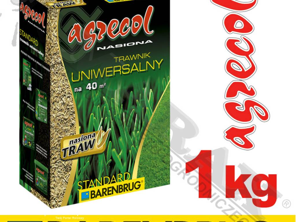 Trawa, nasiona trawy BARENBRUG / AGRECOL STANDARD masa: 1 kg, na 40m2,  trawnik uniwersalny