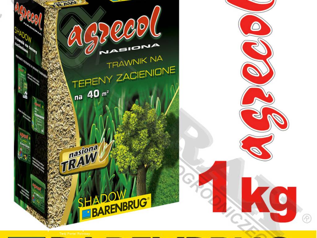 Trawa, nasiona trawy BARENBRUG / AGRECOL SHADOW masa: 1 kg, na 40m2,  mieszanka traw na miejsca zacienione