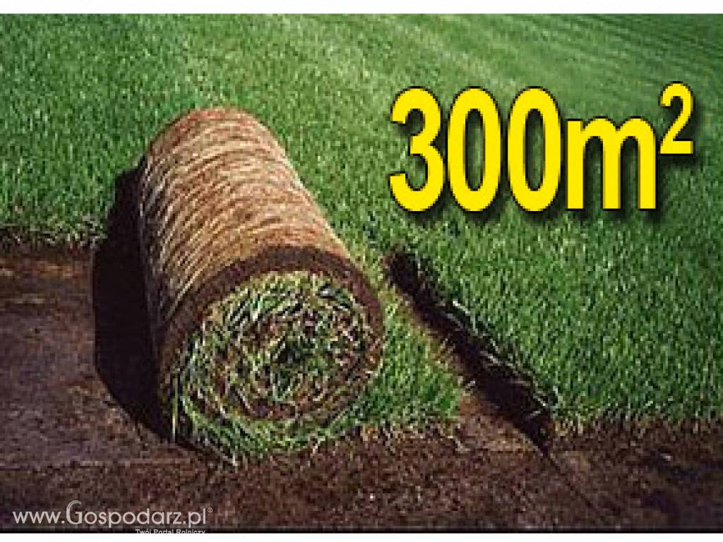 Trawa z rolki, trawa rolowana KRAJOBRAZOWA 300m2uniwersalna trawa w rolce, darń w rolce