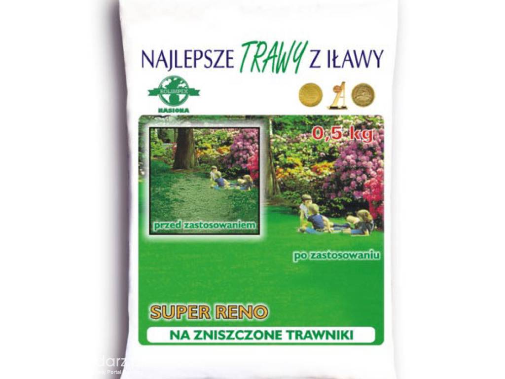 Trawa, nasiona trawy SUPER RENO masa: 5kg, mieszanka do uzupełniania uszkodzonych trawników Rolimpex