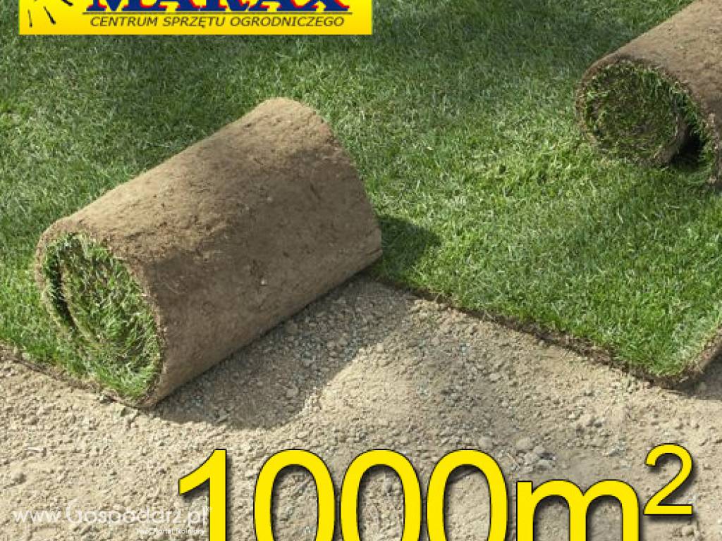Trawa z rolki, trawa rolowana UŻYTKOWA 1000m2użytkowa trawa rolowana, darń w rolce