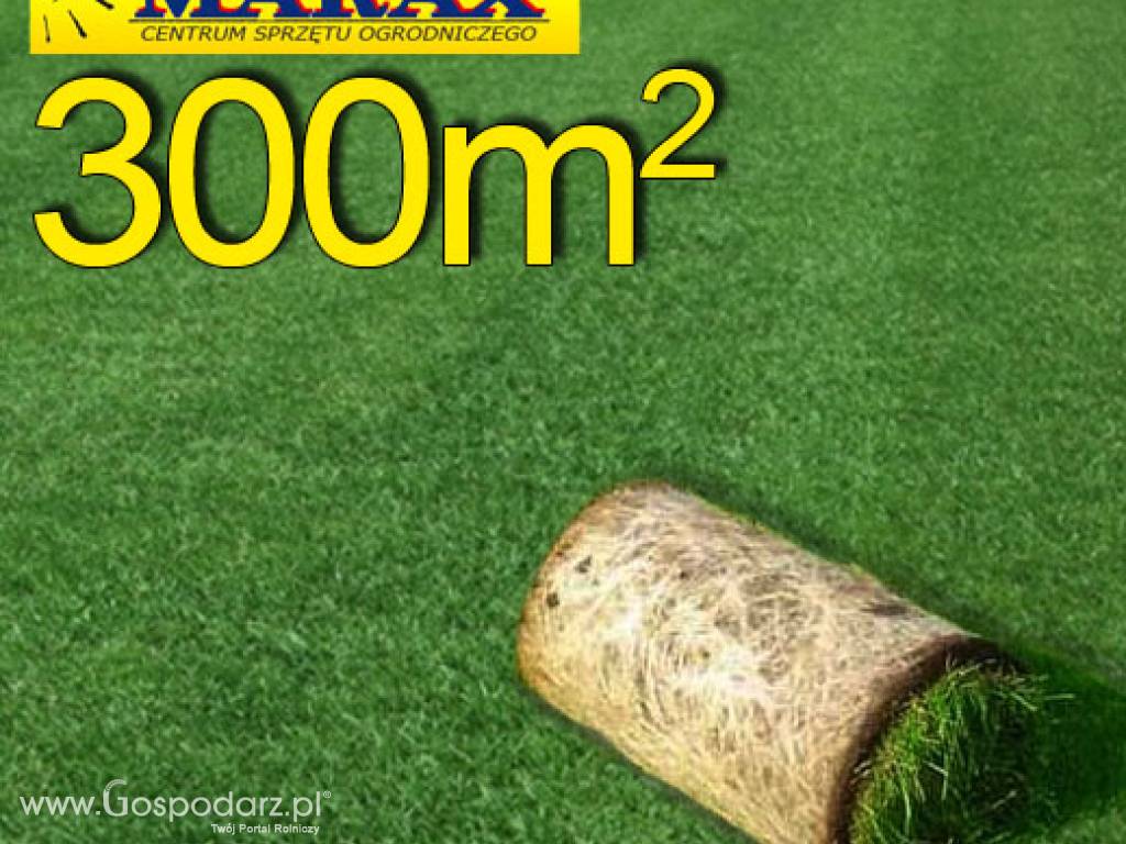 Trawa z rolki, trawa rolowana Premium II 300 m2najlepsza trawa w rolce, darń w rolce